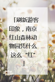 刷新游客印象，南京红山森林动物园凭什么这么“红”