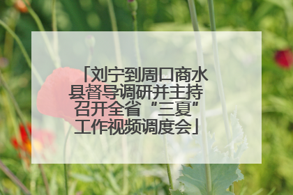 刘宁到周口商水县督导调研并主持召开全省“三夏”工作视频调度会