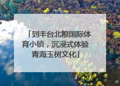 到丰台北粮国际体育小镇，沉浸式体验青海玉树文化