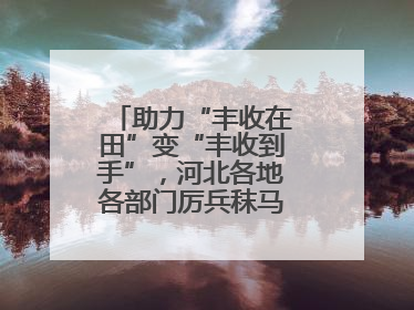 助力“丰收在田”变“丰收到手”，河北各地各部门厉兵秣马迎战“三夏”