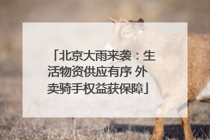 北京大雨来袭：生活物资供应有序 外卖骑手权益获保障