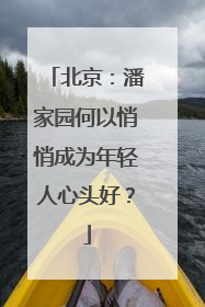 北京：潘家园何以悄悄成为年轻人心头好？