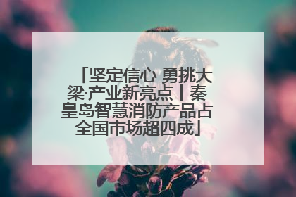 坚定信心 勇挑大梁·产业新亮点丨秦皇岛智慧消防产品占全国市场超四成