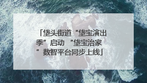 垡头街道“垡宝演出季”启动 “垡宝治家”数智平台同步上线