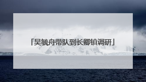 吴毓舟带队到长卿镇调研