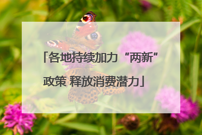各地持续加力“两新”政策 释放消费潜力