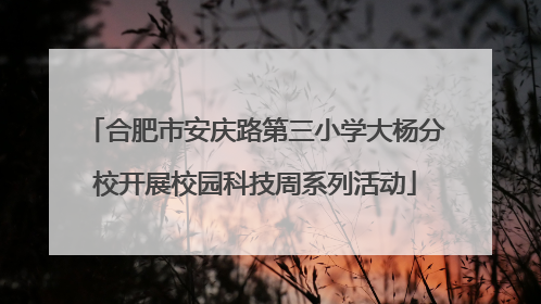 合肥市安庆路第三小学大杨分校开展校园科技周系列活动