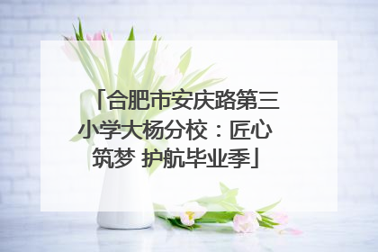 合肥市安庆路第三小学大杨分校：匠心筑梦 护航毕业季