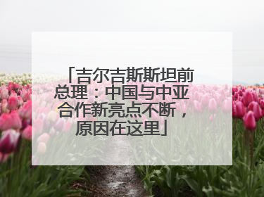 吉尔吉斯斯坦前总理：中国与中亚合作新亮点不断，原因在这里