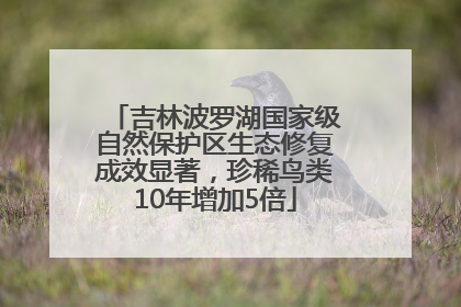 吉林波罗湖国家级自然保护区生态修复成效显著，珍稀鸟类10年增加5倍