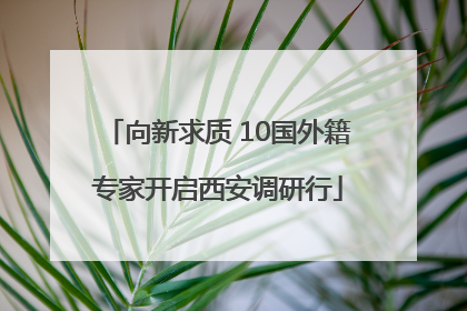 向新求质 10国外籍专家开启西安调研行