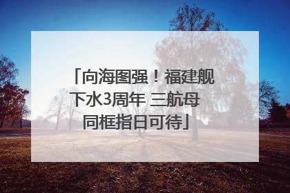 向海图强！福建舰下水3周年 三航母同框指日可待