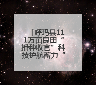呼玛县111万亩良田“播种收官”科技护航蓄力“金秋丰景”