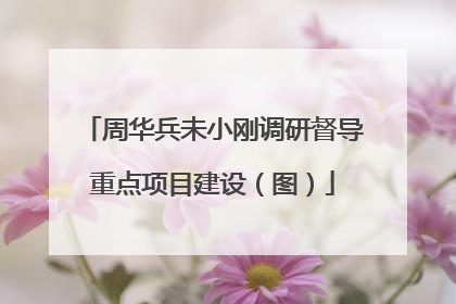 周华兵未小刚调研督导重点项目建设（图）