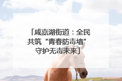 咸嘉湖街道：全民共筑“青春防毒墙” 守护无毒未来