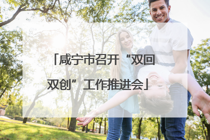 咸宁市召开“双回双创”工作推进会