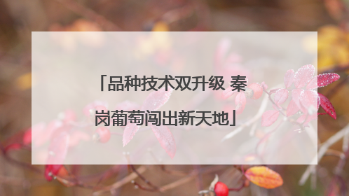 品种技术双升级 秦岗葡萄闯出新天地