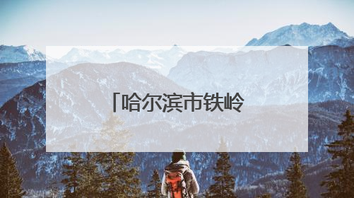 哈尔滨市铁岭小学校第二十七届春季田径运动会圆满举行