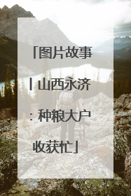 图片故事丨山西永济：种粮大户收获忙