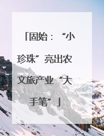 固始：“小珍珠”亮出农文旅产业“大手笔”