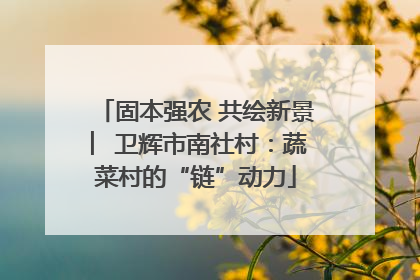 固本强农 共绘新景 ︳卫辉市南社村：蔬菜村的“链”动力