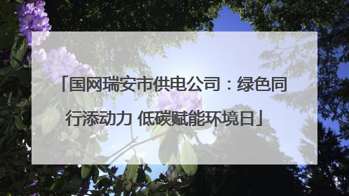 国网瑞安市供电公司：绿色同行添动力 低碳赋能环境日