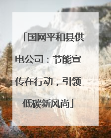 国网平和县供电公司：节能宣传在行动，引领低碳新风尚