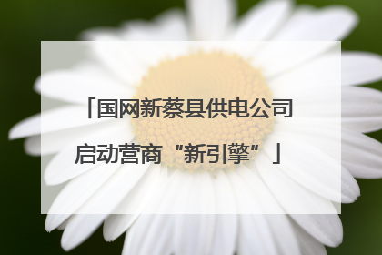 国网新蔡县供电公司启动营商“新引擎”