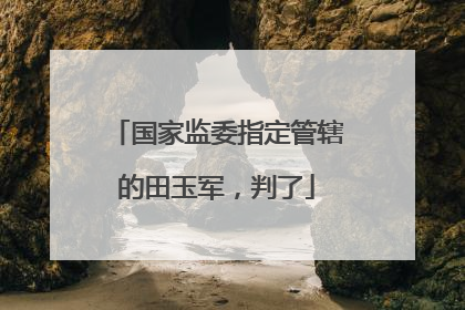 国家监委指定管辖的田玉军，判了