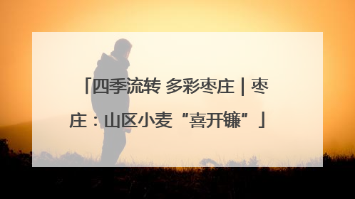 四季流转 多彩枣庄｜枣庄：山区小麦“喜开镰”