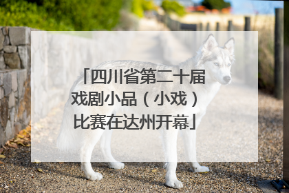 四川省第二十届戏剧小品（小戏）比赛在达州开幕