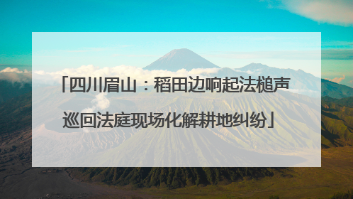 四川眉山：稻田边响起法槌声 巡回法庭现场化解耕地纠纷