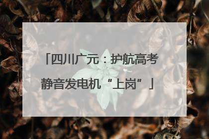 四川广元：护航高考 静音发电机“上岗”