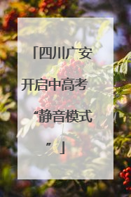 四川广安开启中高考“静音模式”