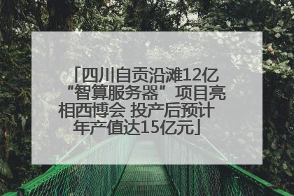 四川自贡沿滩12亿“智算服务器”项目亮相西博会 投产后预计年产值达15亿元