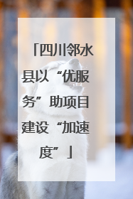 四川邻水县以“优服务”助项目建设“加速度”