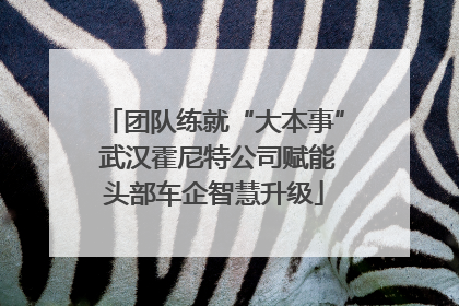 团队练就“大本事” 武汉霍尼特公司赋能头部车企智慧升级
