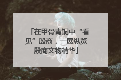 在甲骨青铜中“看见”殷商，一展纵览殷商文物精华
