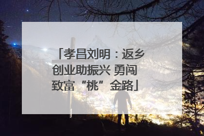 孝昌刘明：返乡创业助振兴 勇闯致富“桃”金路