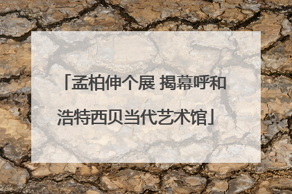 孟柏伸个展 揭幕呼和浩特西贝当代艺术馆