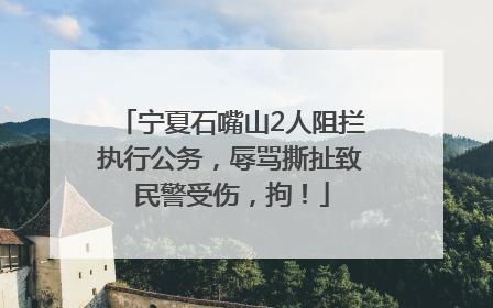 宁夏石嘴山2人阻拦执行公务，辱骂撕扯致民警受伤，拘！