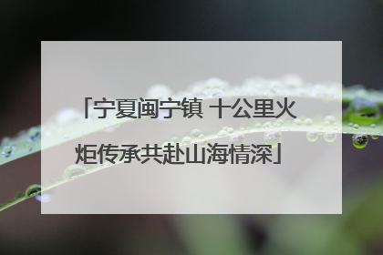 宁夏闽宁镇 十公里火炬传承共赴山海情深