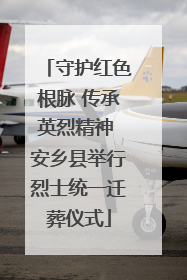 守护红色根脉 传承英烈精神 安乡县举行烈士统一迁葬仪式