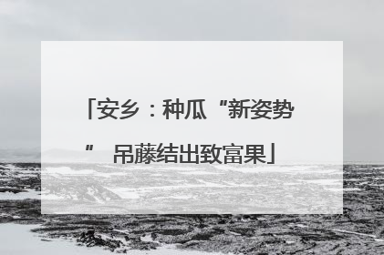安乡：种瓜“新姿势” 吊藤结出致富果