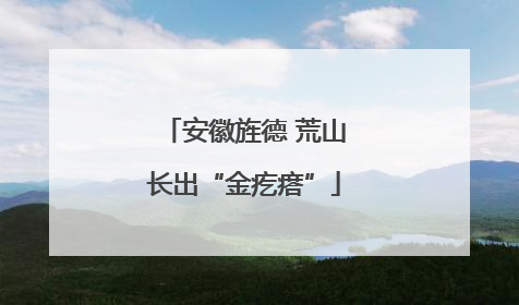 安徽旌德 荒山长出“金疙瘩”