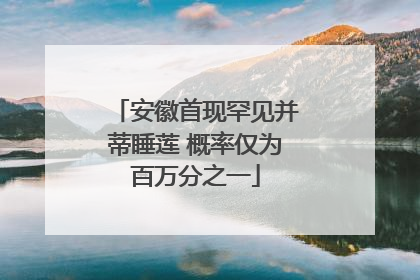 安徽首现罕见并蒂睡莲 概率仅为百万分之一