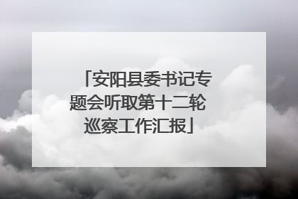 安阳县委书记专题会听取第十二轮巡察工作汇报