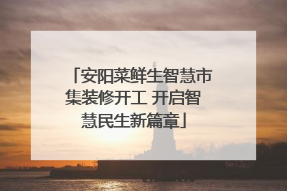 安阳菜鲜生智慧市集装修开工 开启智慧民生新篇章