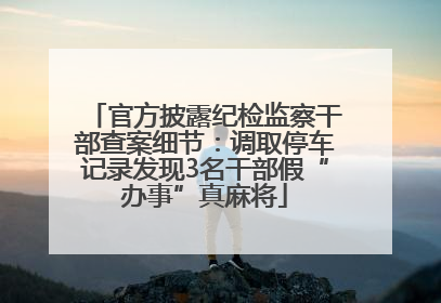 官方披露纪检监察干部查案细节：调取停车记录发现3名干部假“办事”真麻将
