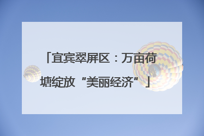 宜宾翠屏区：万亩荷塘绽放“美丽经济”